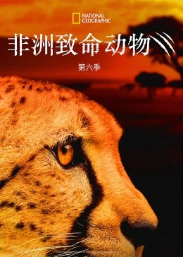 非洲致命动物第6季,非洲致命动物第6季海报图片,非洲致命动物第6季剧照