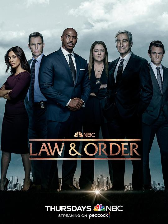 法律与秩序第二十二季,法律与秩序第二十二季海报图片,法律与秩序第二十二季剧照