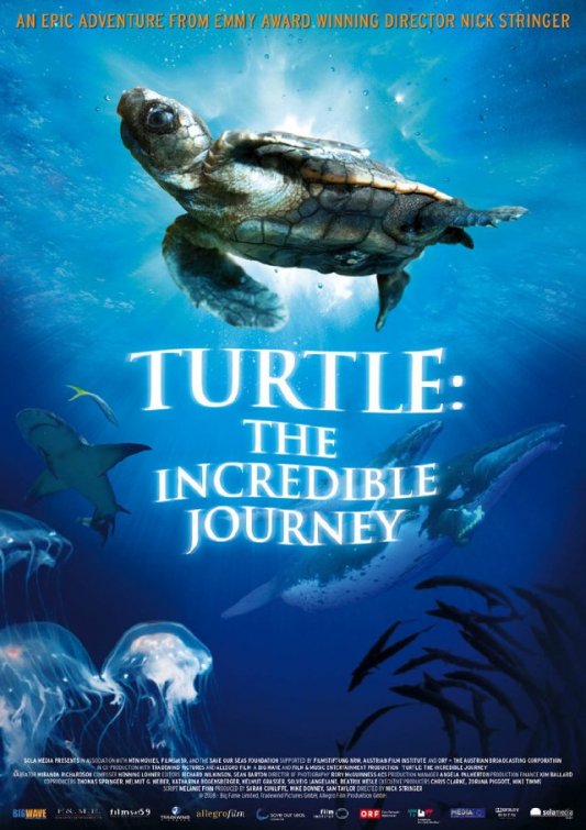 海龟奇妙之旅,海龟奇妙之旅海报图片,海龟奇妙之旅剧照