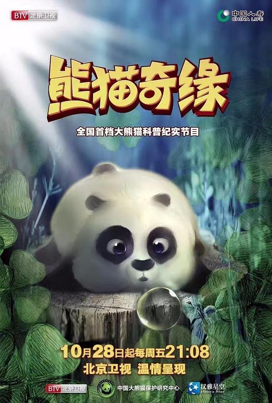 熊猫奇缘,熊猫奇缘海报图片,熊猫奇缘剧照