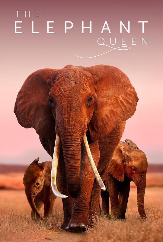 大象女王,大象女王海报图片,大象女王剧照