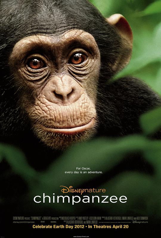 黑猩猩,黑猩猩海报图片,黑猩猩剧照