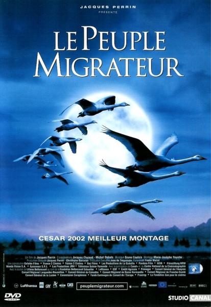 迁徙的鸟,迁徙的鸟海报图片,迁徙的鸟剧照