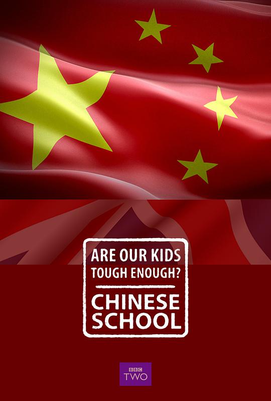 我们的孩子足够坚强吗？中式学校,我们的孩子足够坚强吗？中式学校海报图片,我们的孩子足够坚强吗？中式学校剧照