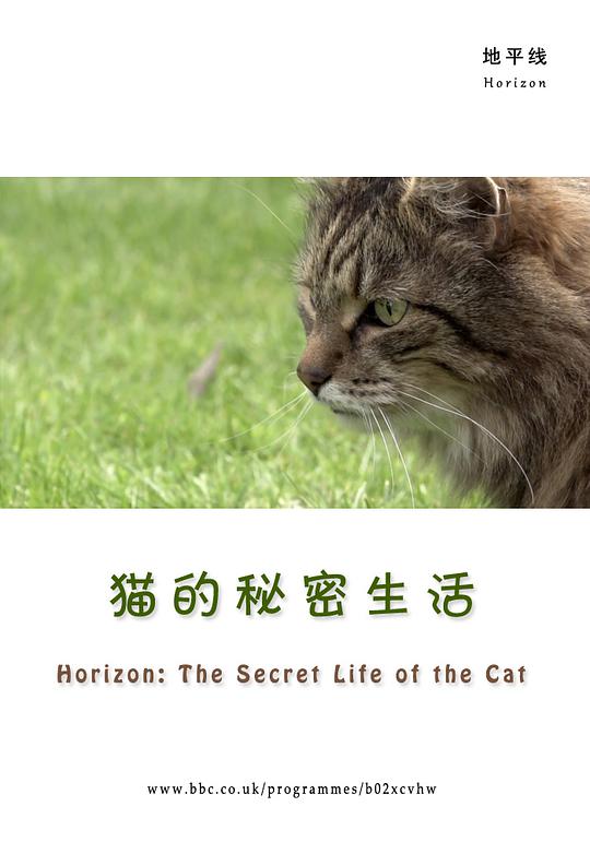 BBC地平线：猫的秘密生活,BBC地平线：猫的秘密生活海报图片,BBC地平线：猫的秘密生活剧照