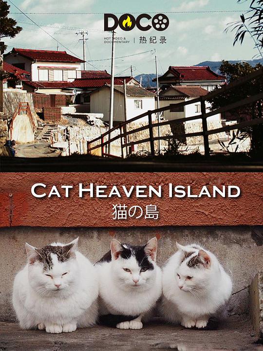 猫之岛,猫之岛海报图片,猫之岛剧照