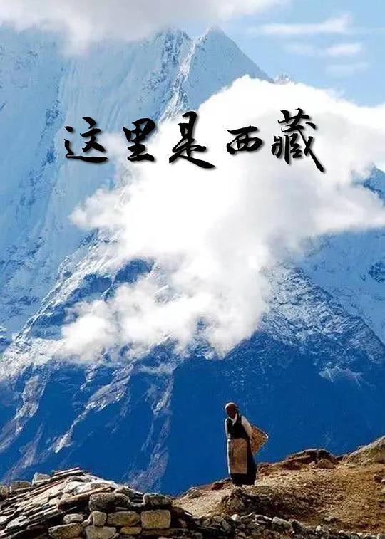 这里是西藏,这里是西藏海报图片,这里是西藏剧照