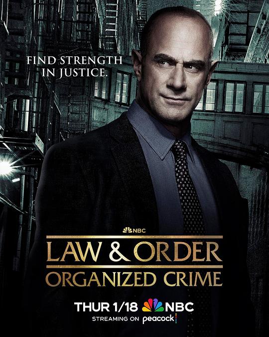 法律与秩序：组织犯罪第四季,法律与秩序：组织犯罪第四季海报图片,法律与秩序：组织犯罪第四季剧照